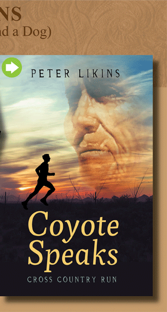 Welcome to Peter Likins (3 Books, 1 Wife, 6 Kids and a Dog) website